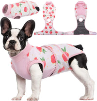 Quick Recovery Suit for Pets – Healing After Surgery