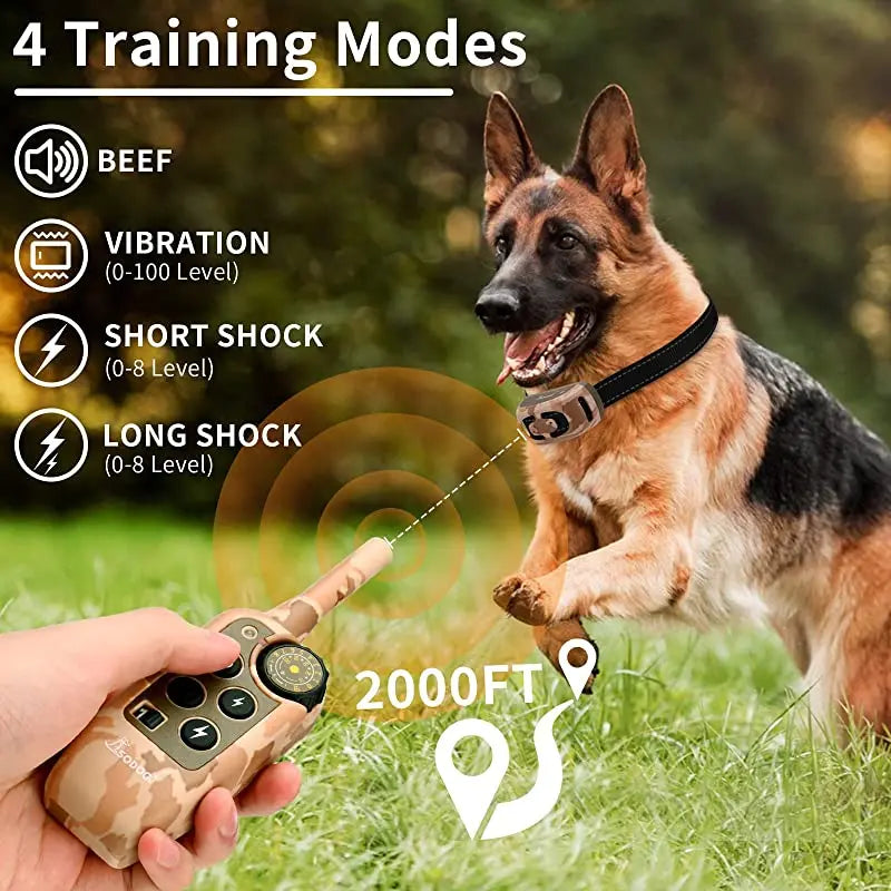 Remote Dog Training Collar for Effective Long-Distance Training