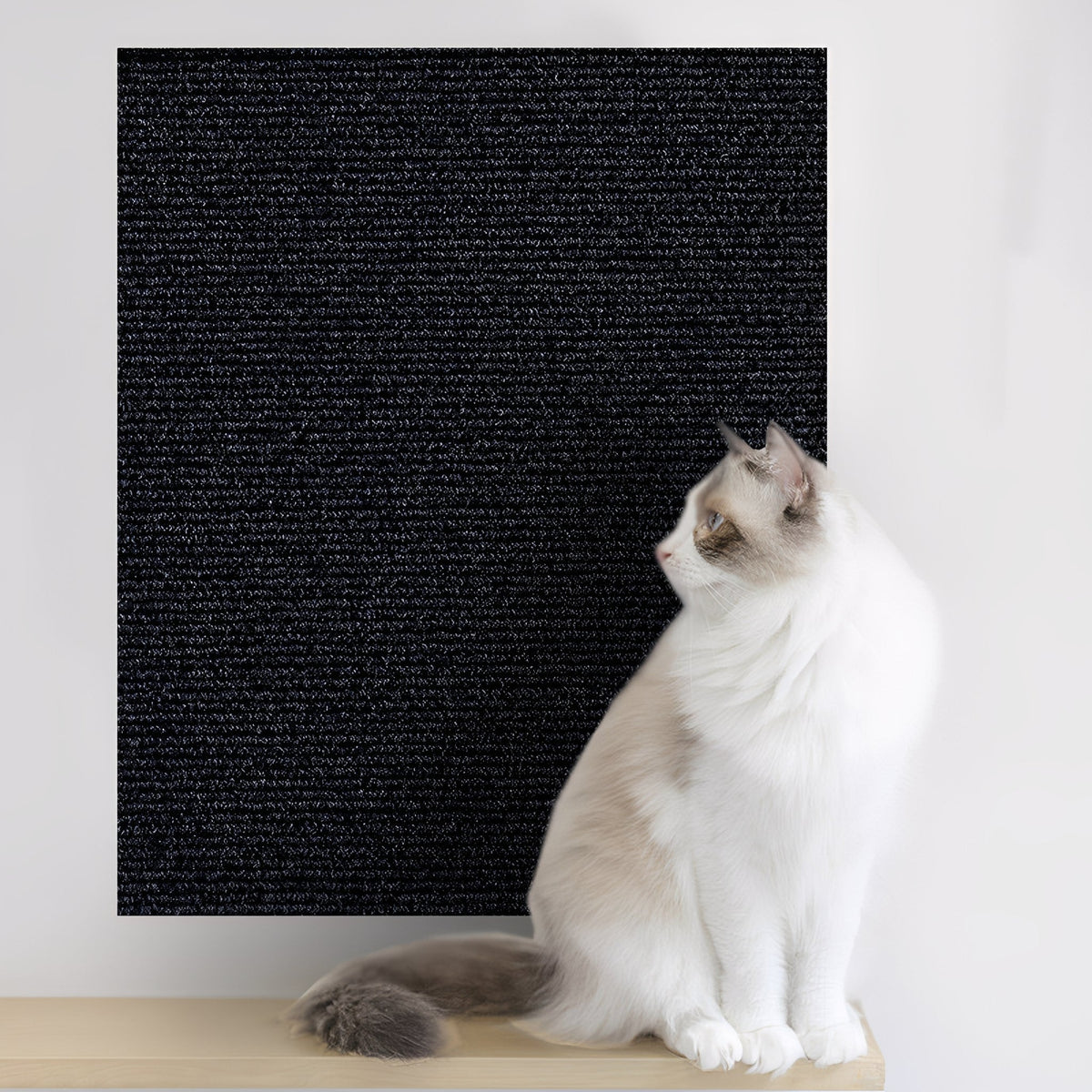Griffoir autocollant pour chat et protège-meuble