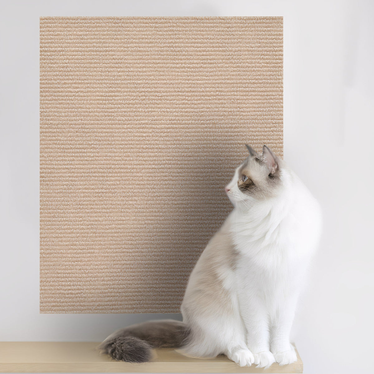 Griffoir autocollant pour chat et protège-meuble