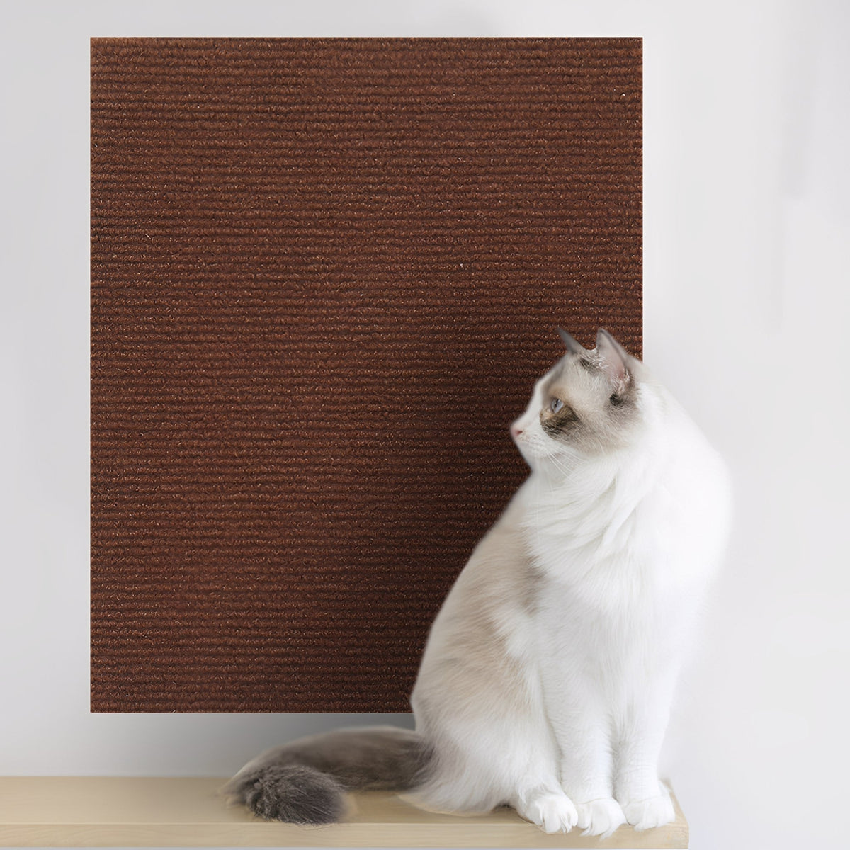 Griffoir autocollant pour chat et protège-meuble