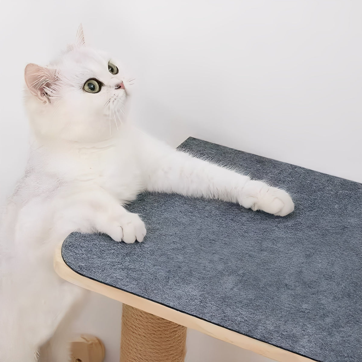 Griffoir autocollant pour chat et protège-meuble