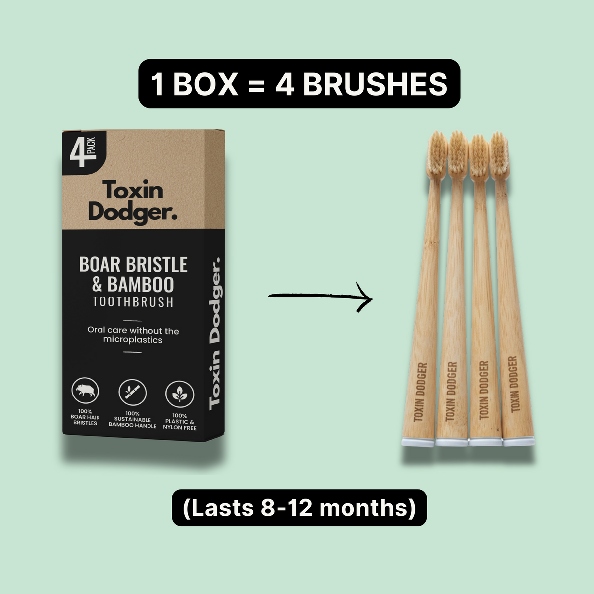Lot de 4 brosses à dents en bambou avec soies naturelles de sanglier ou de cheval