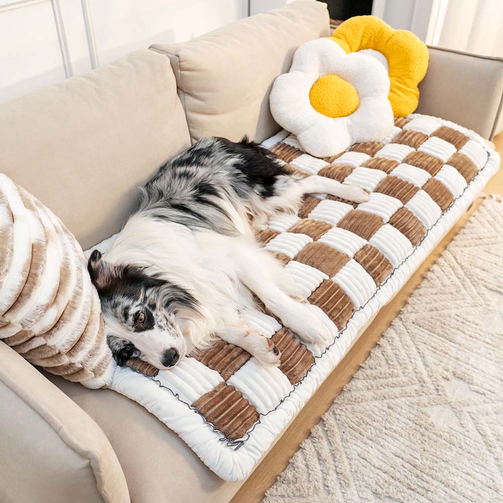 Couverture douce pour animaux en chenille – protection de canapé lavable et antidérapante pour chiens et chats