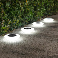 Solar LED Pathway Lights — Waterproof All-Weather Design