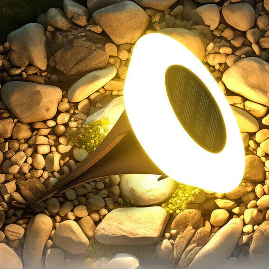 Solar LED Pathway Lights — Waterproof All-Weather Design