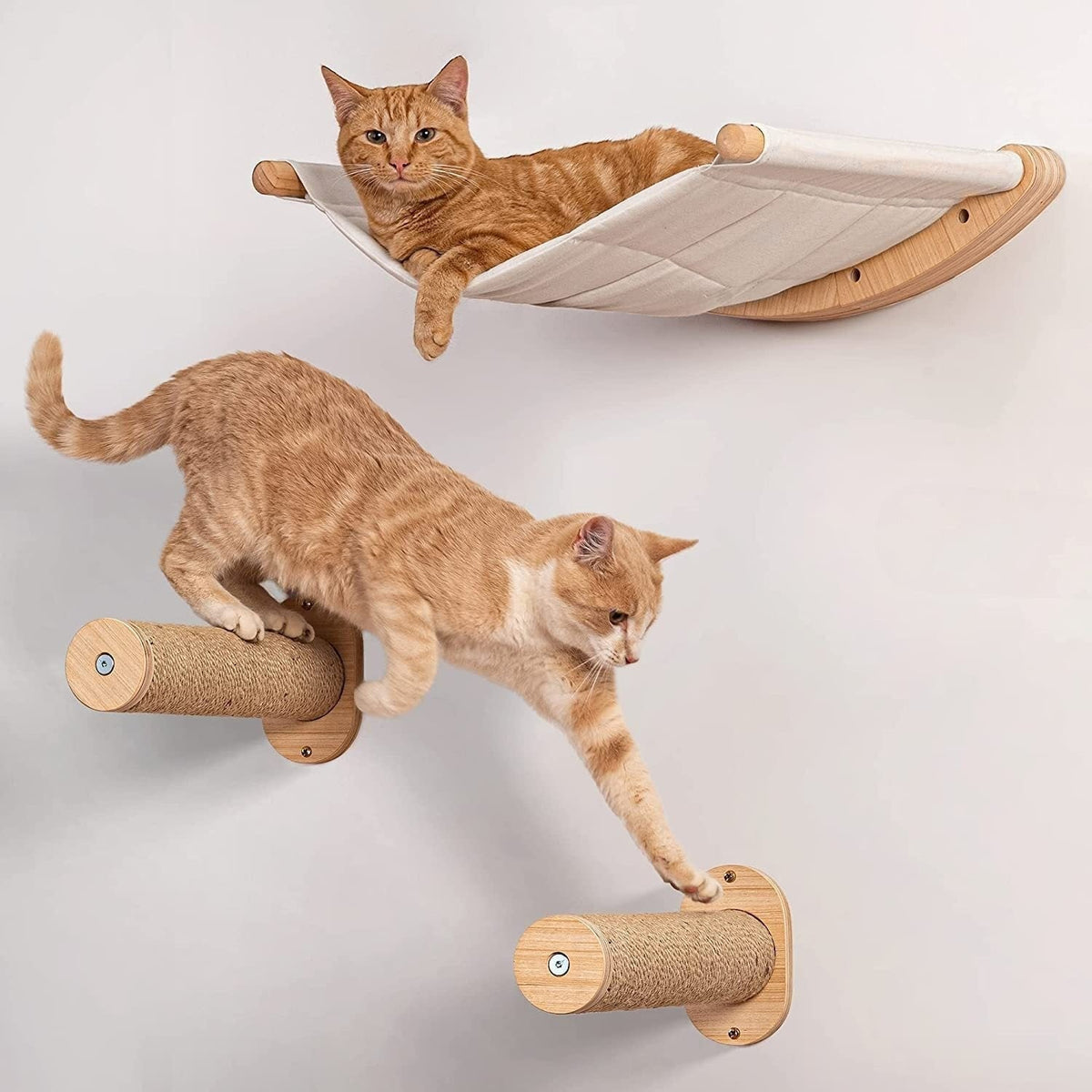 Wall-Mounted Cat Shelves and Hammock with Steps