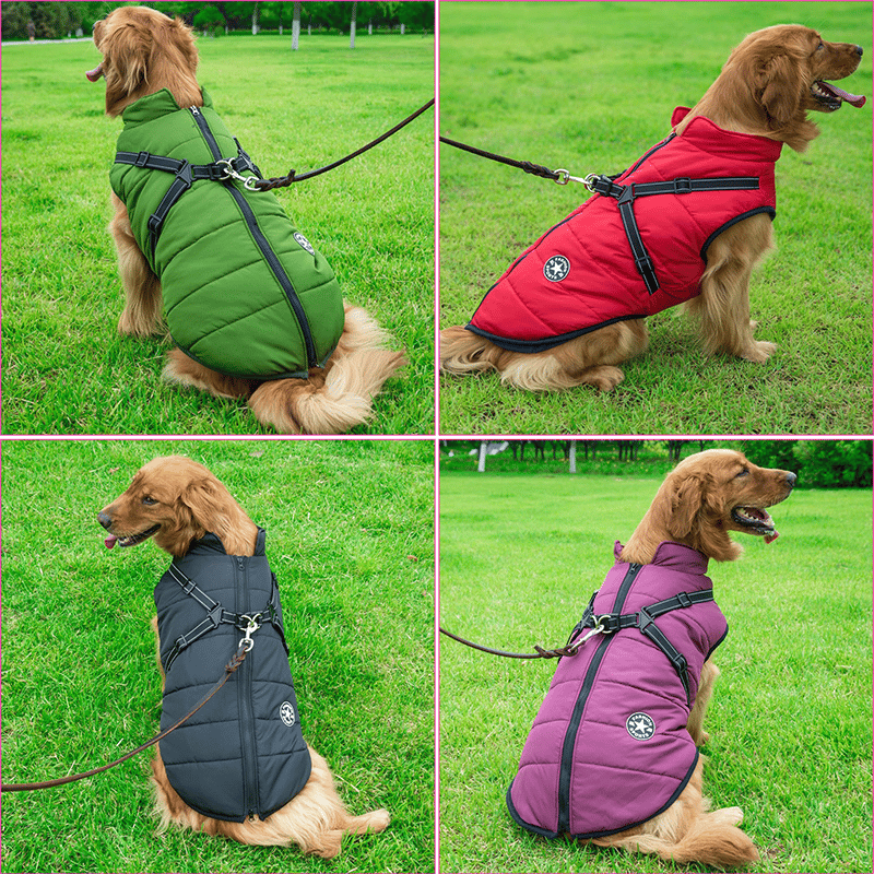 Waterproof Dog Winter Jacket with Harness