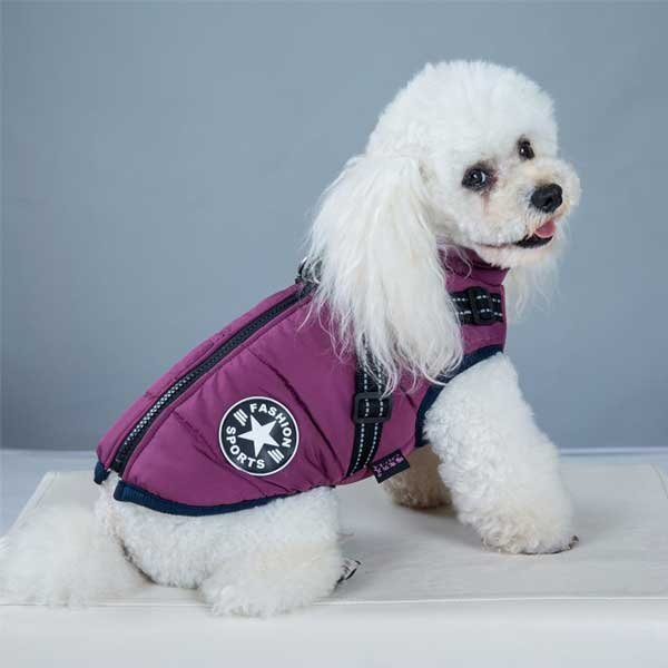 Waterproof Dog Winter Jacket with Harness