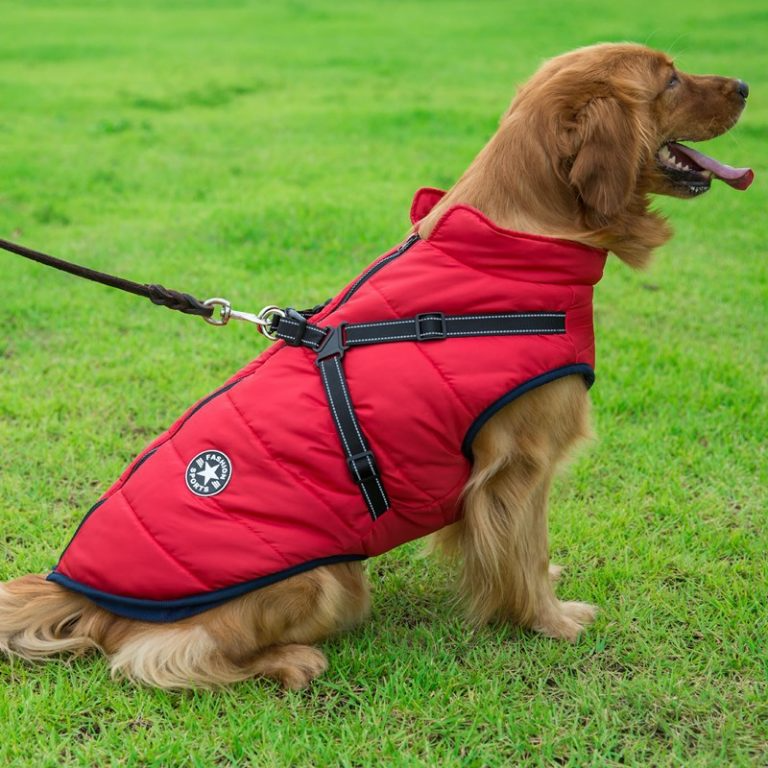 Waterproof Dog Winter Jacket with Harness