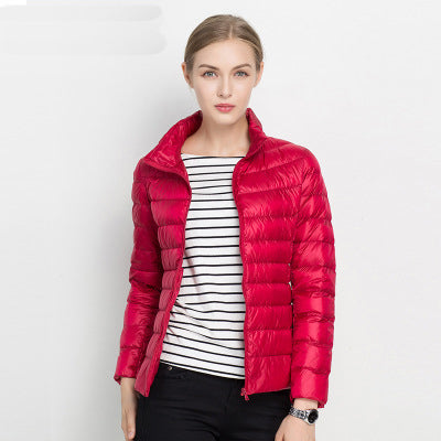 Women's Lightweight Jacket - Waterproof & Stylish